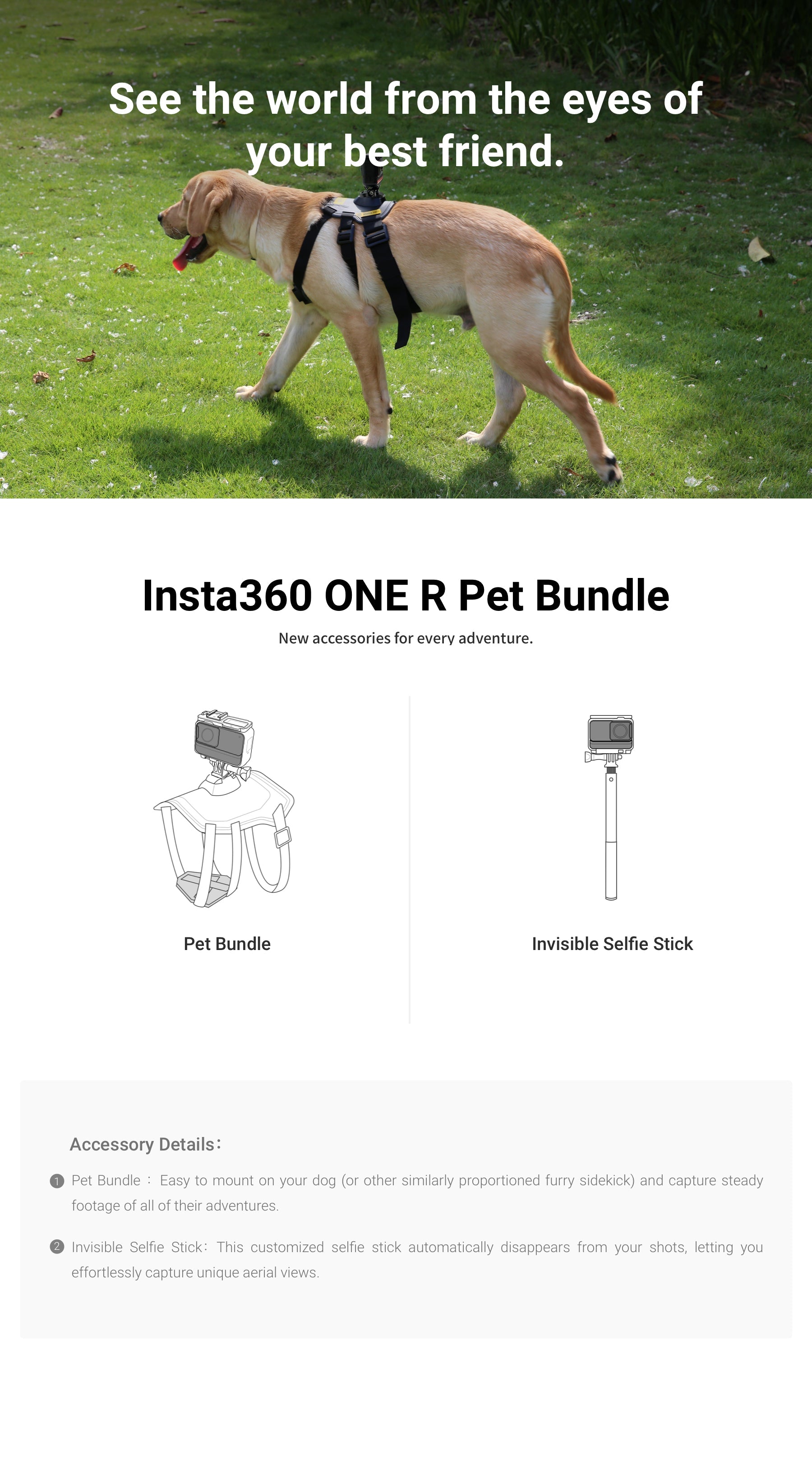 Insta360 Pet Bundle secondary view