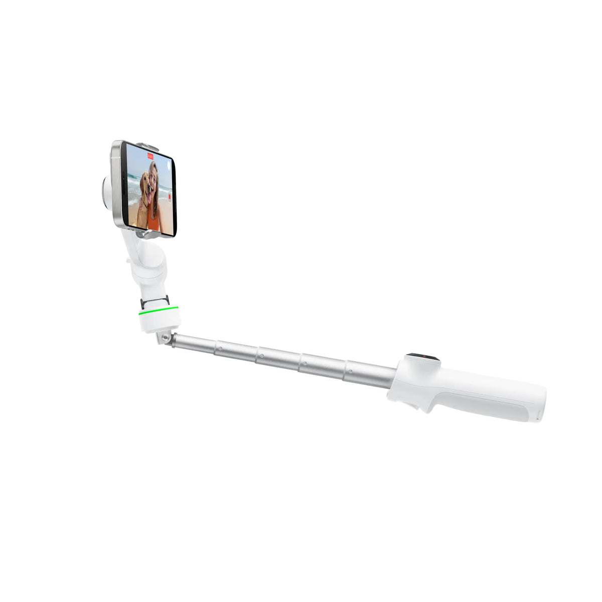 Insta360 Flow 2 Pro Summit White Standard Bundle