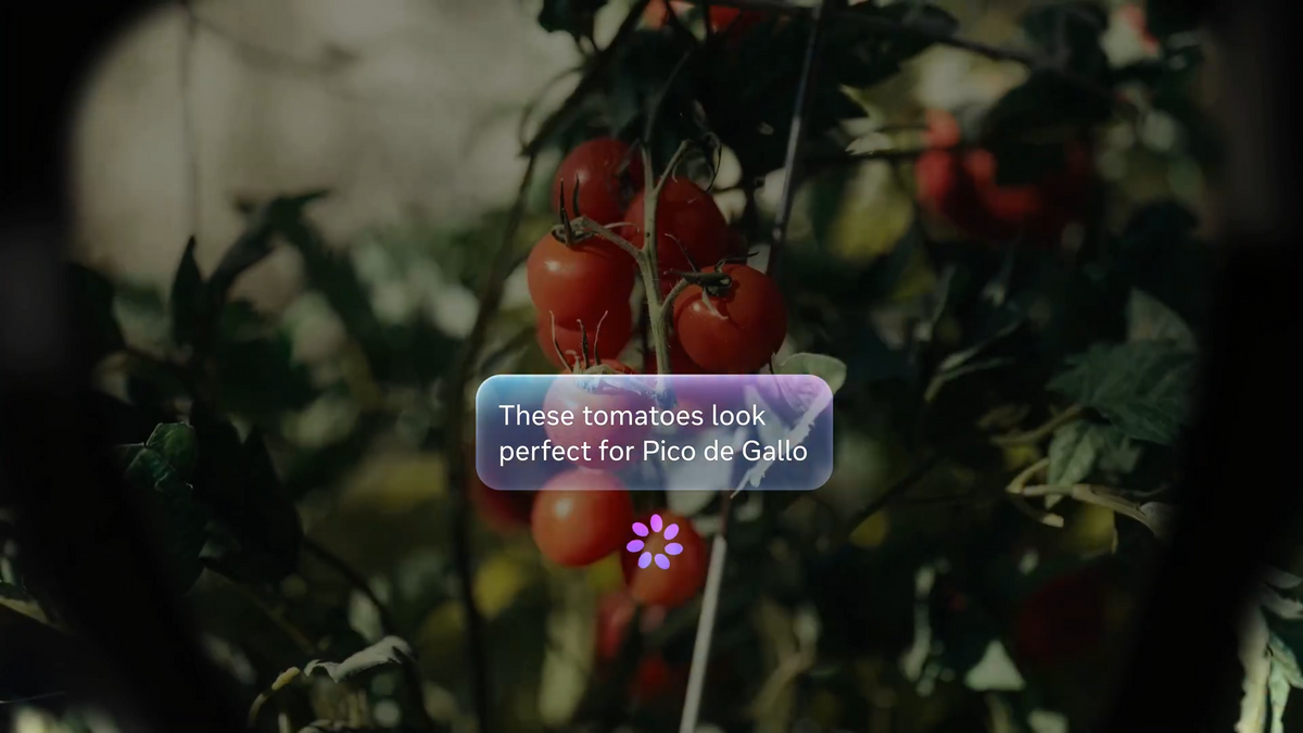 Video placeholder