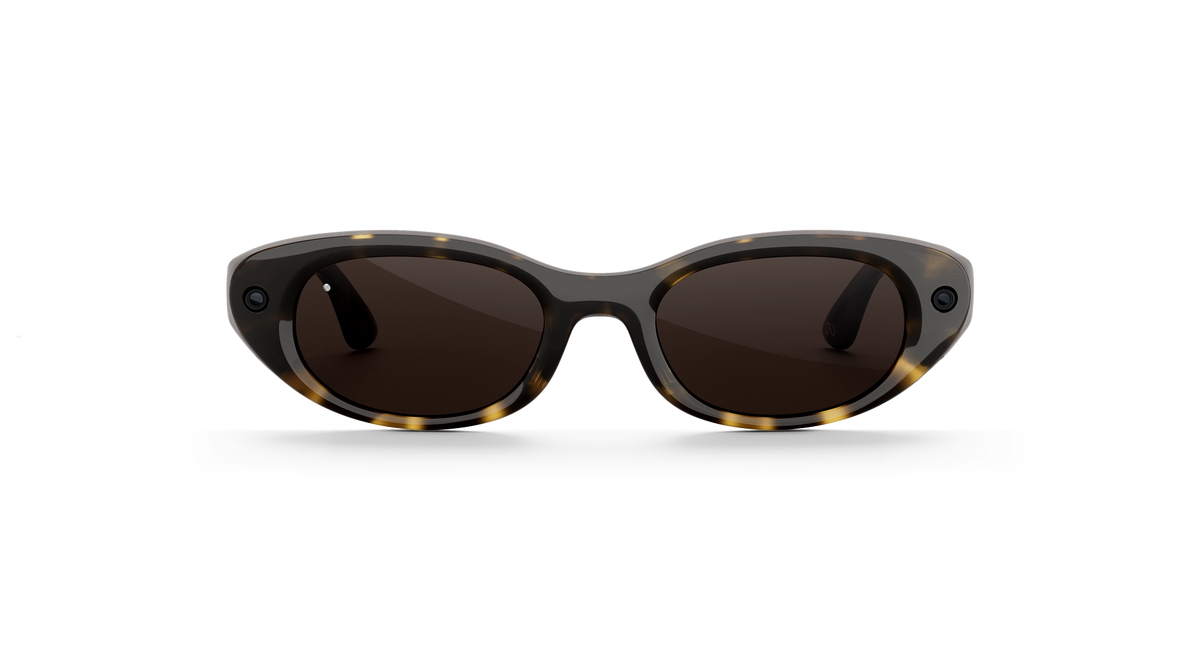 Meta Starfire Kylie Edition - Dark Tortoise / Chocolate - original transparent product view 6
